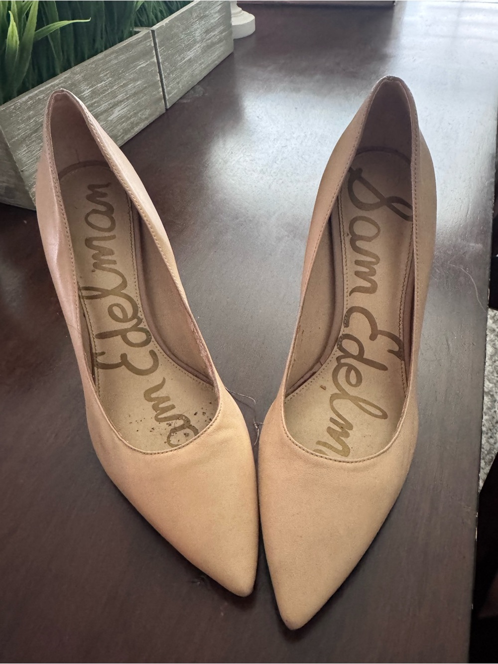 Sam Edelman Blush Pointed-Toe Suede Pumps